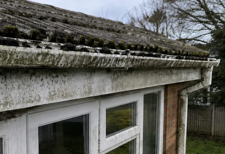 Gutter and Fascia cleaning before